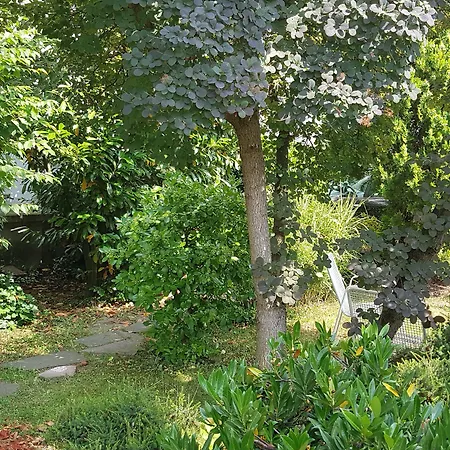 A&s Koblenzer Strasse 2*